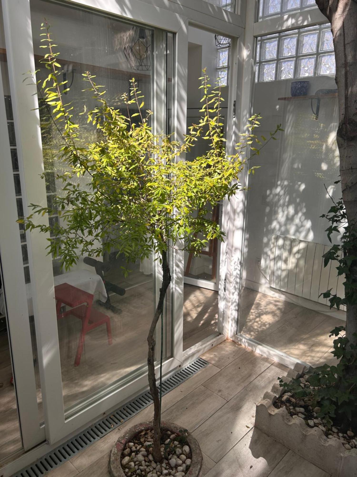 Vila Casa Rustica En Madrid Recien Reformada Exteriér fotografie